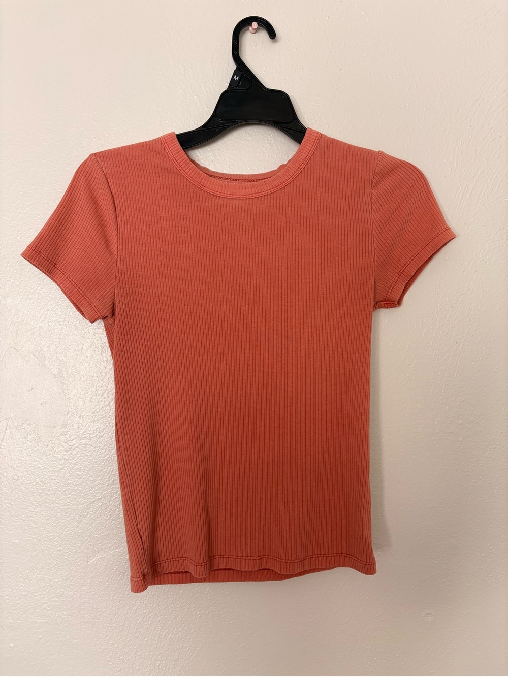 American Eagle Ribbed Tee in Rust